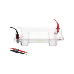 Electrophoresis